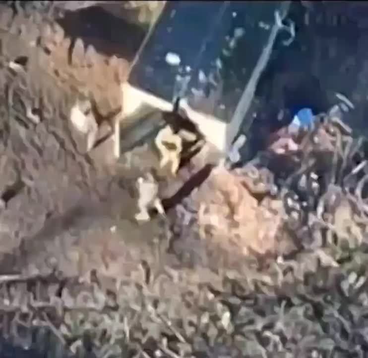 ����� ����� ��������� �� �������� ���