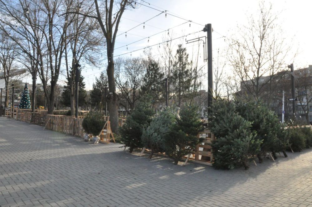 �� ������ ���� �������� ����� ������