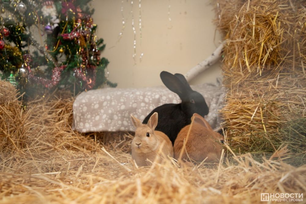 ���������� ������� �������� � ����� ������ ���������