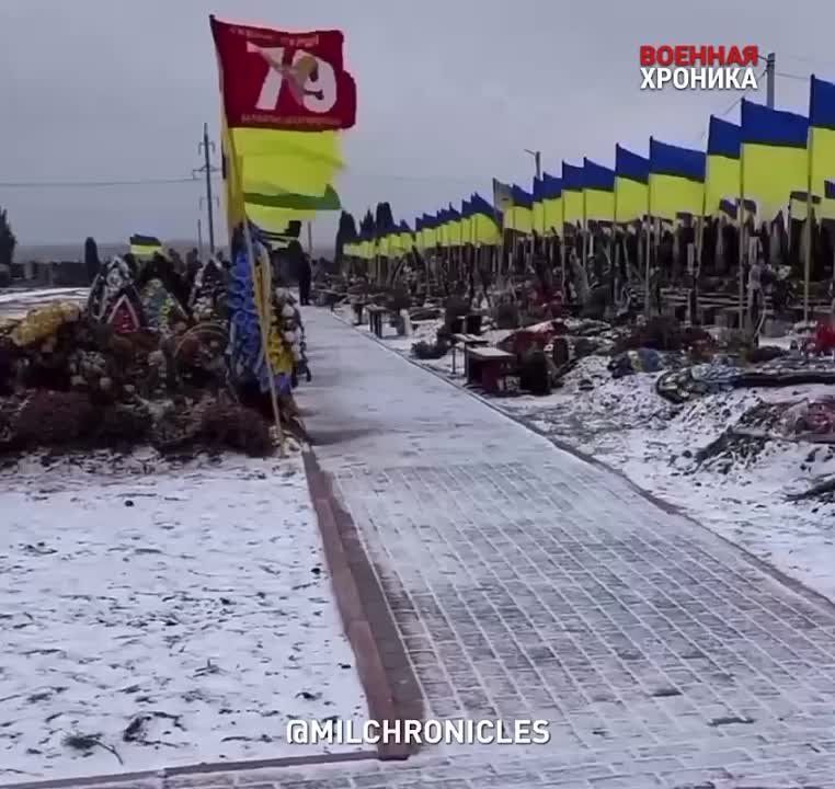 �� �� ����� ��, ����� ������ ���� ������