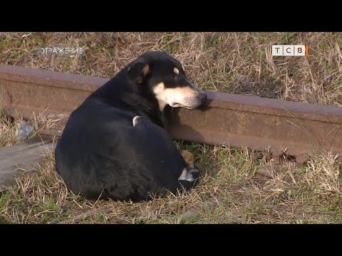 �� ������ � �������� ����� ������� ������ ��������: ��� ������ � �������� ��������? ���������� ��� �������������? ���...