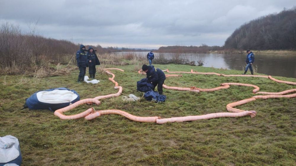 �� � �������: � ������ ������ �������������, ����� ��������� � 200 ���