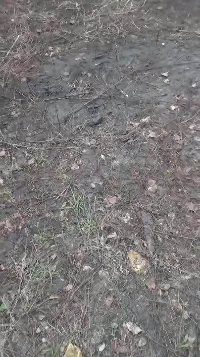 � ��������� ��� �������� ���������� ������ ���������� ��������, ������� ���������� ����� � ������ �������