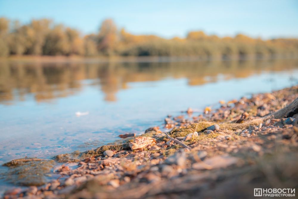 �������� � ������ ������������� ���� �� ������ �� �������������, �������� � ��������� �����������