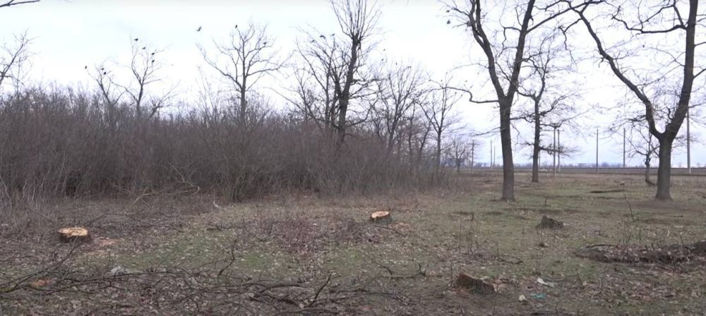 ��� ���������� ����� ������