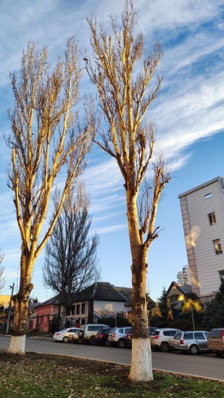 ��������� ������ � ��������� ���� ������������ 2022-��