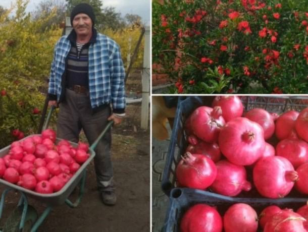 �������� �������� ������� � ��������� � ���������������