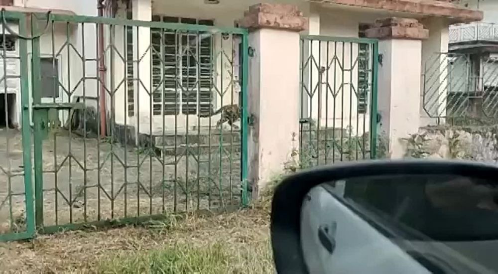 � ��������� ����� ����� ������� �������� �� �����