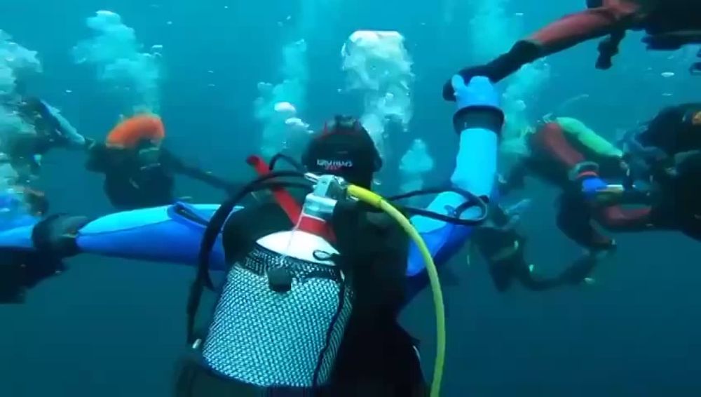 ������� �������� ������� ������ ���� �� ��� �������