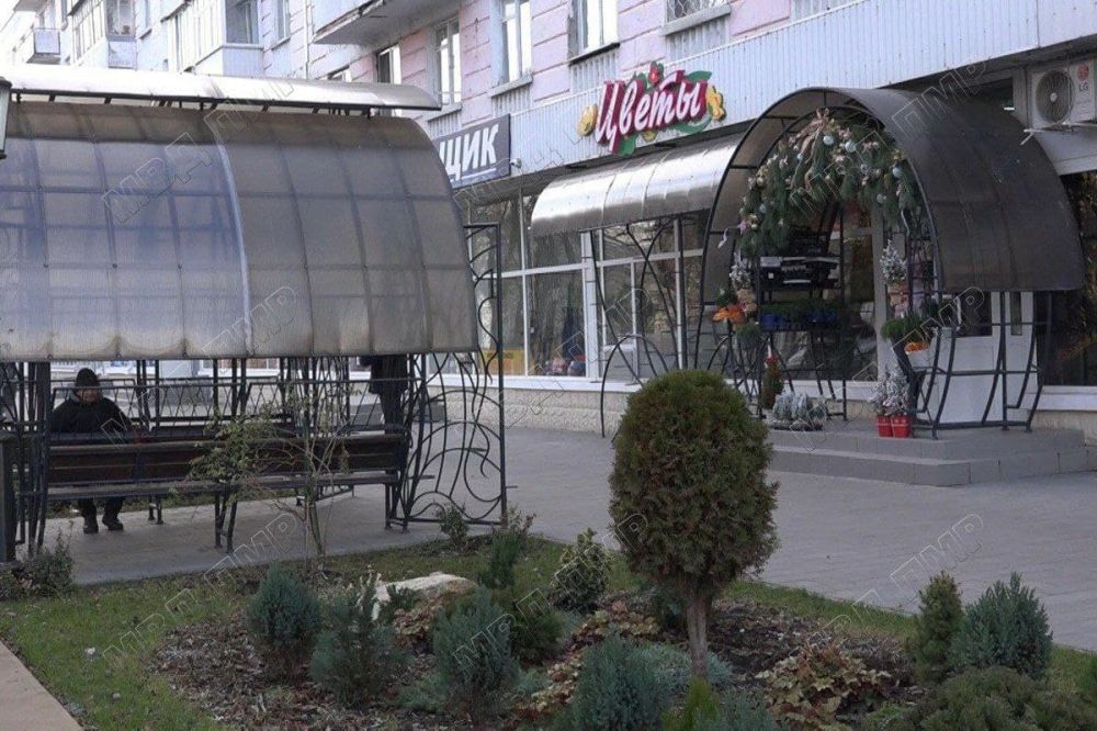 ������ ������� ��������