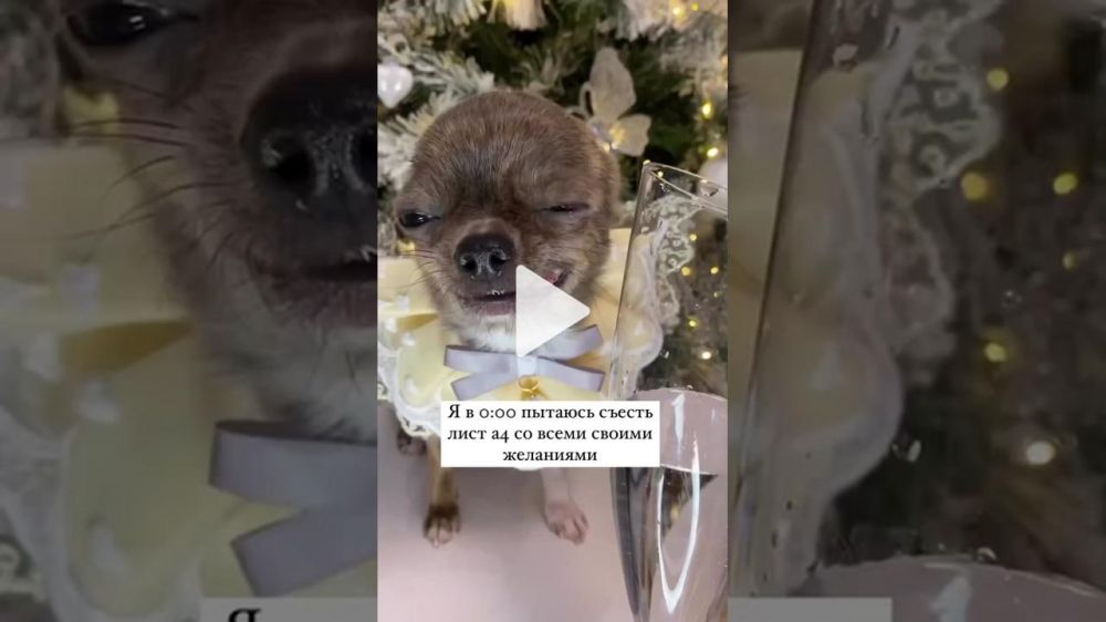 � ���������� ���� ��� �� �������� ���