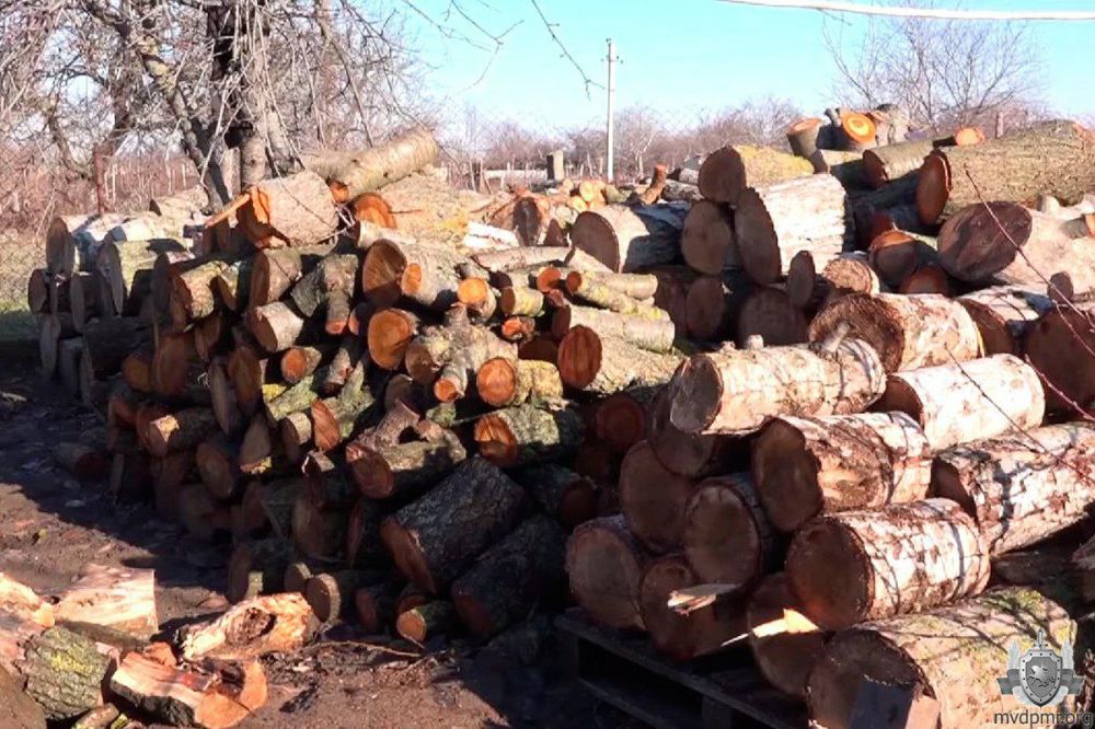 ����� 20 ������������� �������� ������� � ������� �� ���������� ����� ���� �������