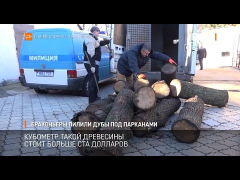 ������ ������ ������� � ������������ ���� ������ 20 �����. �� ����� ������ �� ����� ���������� ������� ����� � ���������. ��������� ������ �� �������. �׸���� ��������� ������ ������