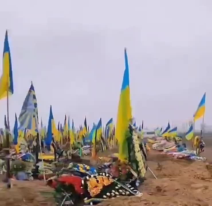 � ���� ���� �������� ����������� �������, ������� � ������� ��������� �������