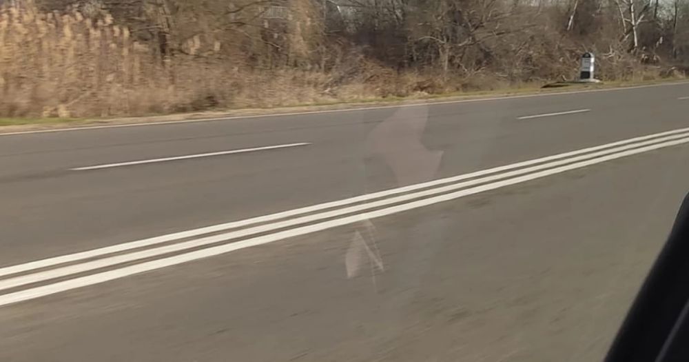 � ������� ��������� �������� c ������� ������