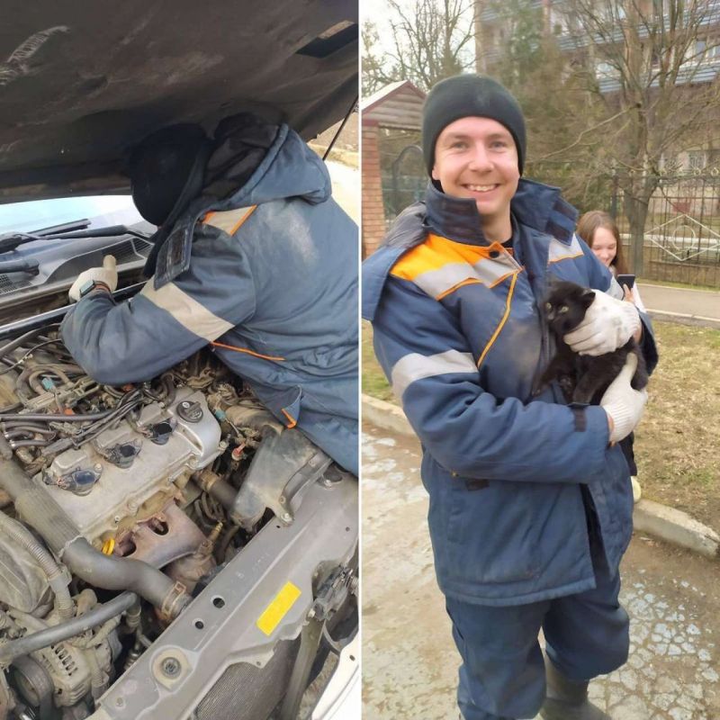 ��������� ��������� ������� ������ �� ��������� ������ ������