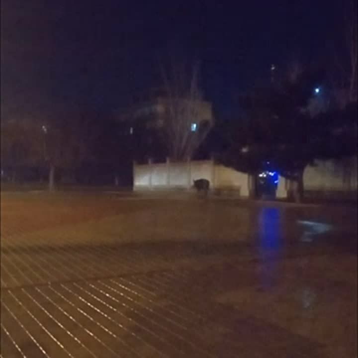 � ��������� ����� ������ ���-�� ������