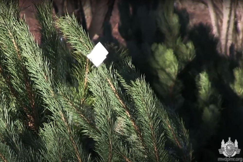 �� ���������� ���� � �����!