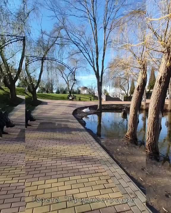 29 �������, +7, ����� ��������������� �����...��� ����� ���� ����������..