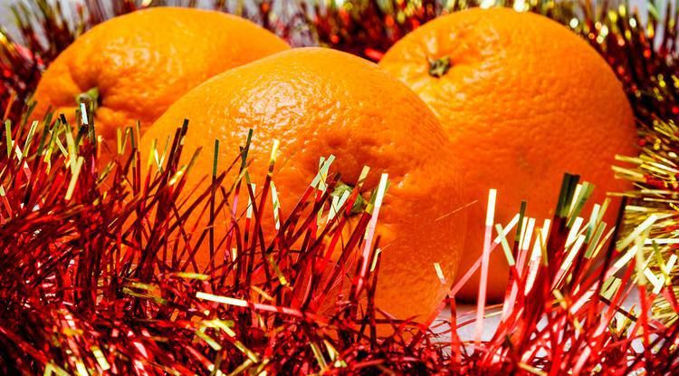 ������������ ����� �������