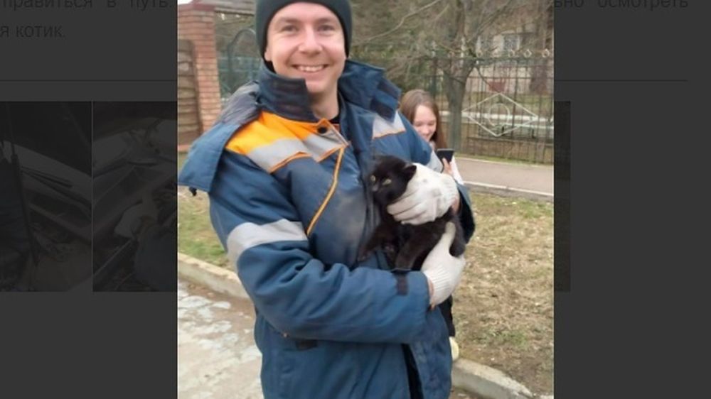 ���������� �������� ������� � ���������: ���������� �������� ��������� ������, ����������� � �������� ������ ����������