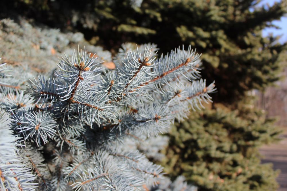 ��������������� �������������: 29 ������� ��������� ���������� ����������, ��� �������