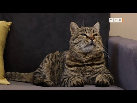 ������� ���� �������� ���. ���������� ����� � ��������� ������� ������ ������� ���������� ���� ����