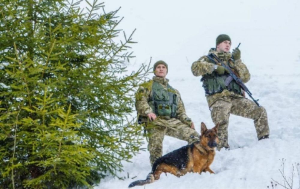 ������� ���������� ����������, ������� �������, ����� �� ��������� �� �����, ������� �������� � ��������� �����