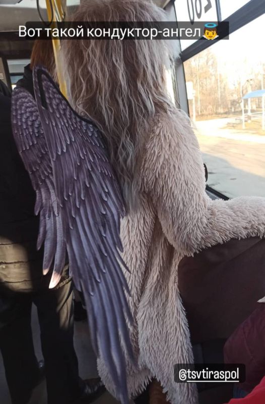 �� ������ ����������� ������� �������� ���������-�����