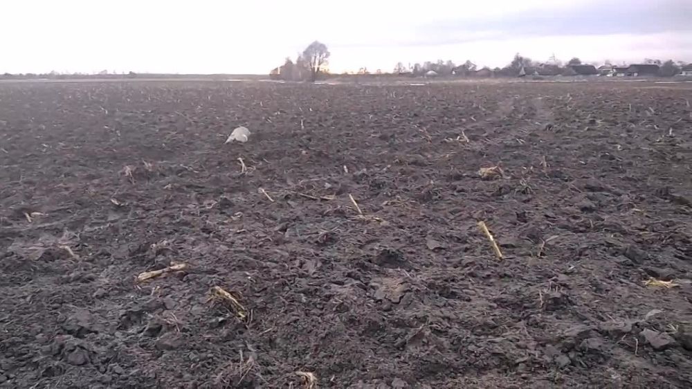 ���������� �������� ������ �� ���� ����� � ��������, � ���� ����� ������ ���