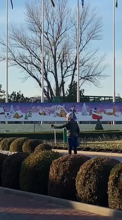 � Where you�ll celebrate New Year�s?