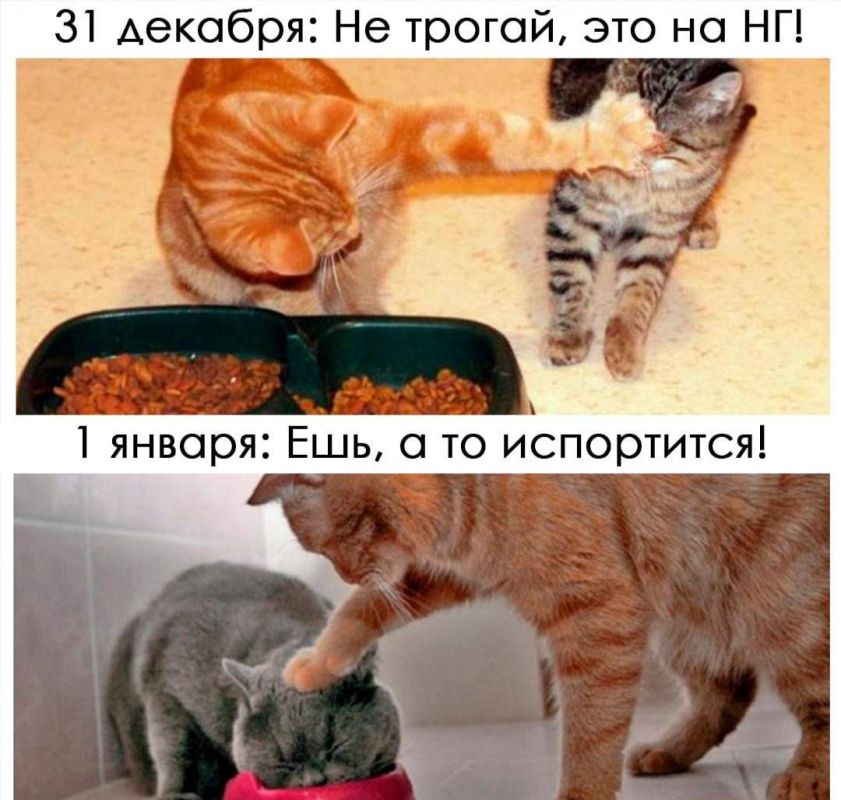 ����� �����. ����, ���� ��������