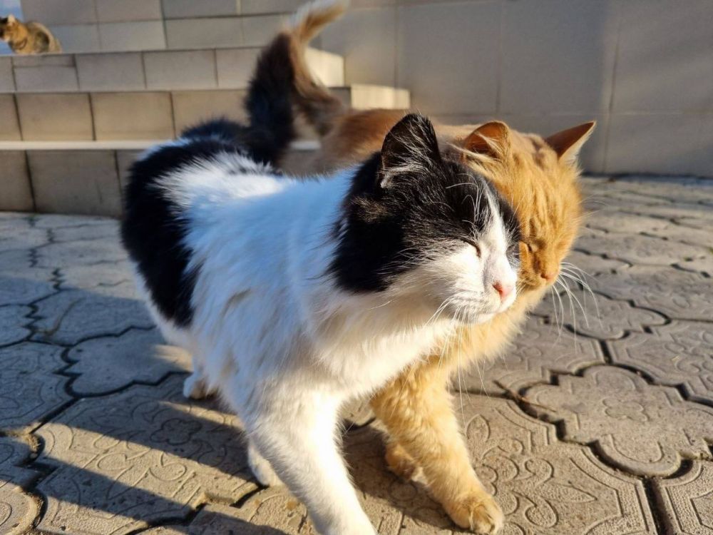 31 �������. �� ������������� ������ ������, ��� ��� ����