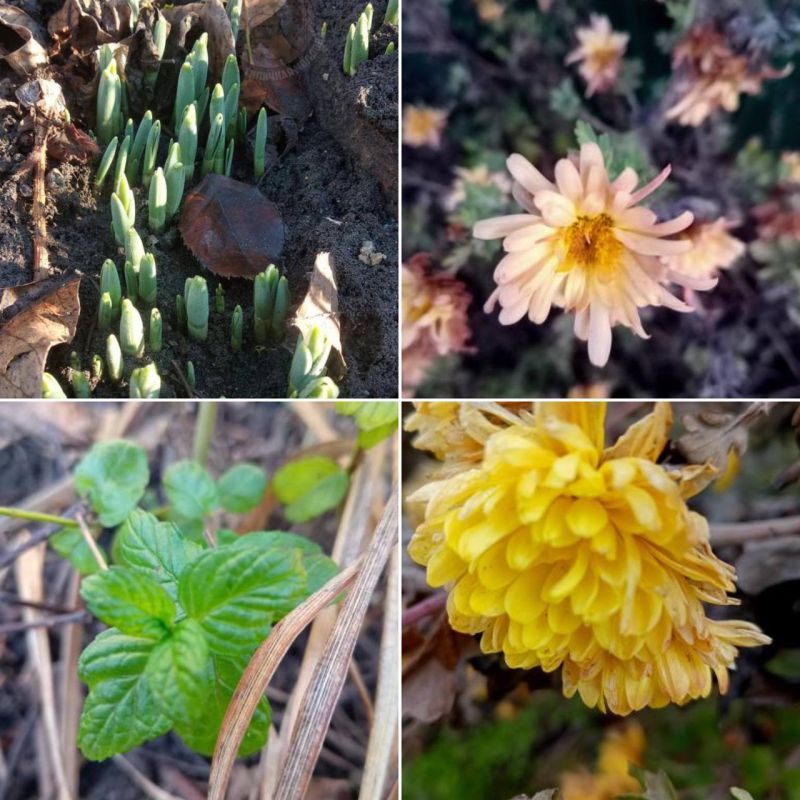 ���������� ��������� ���� �� ���� �������