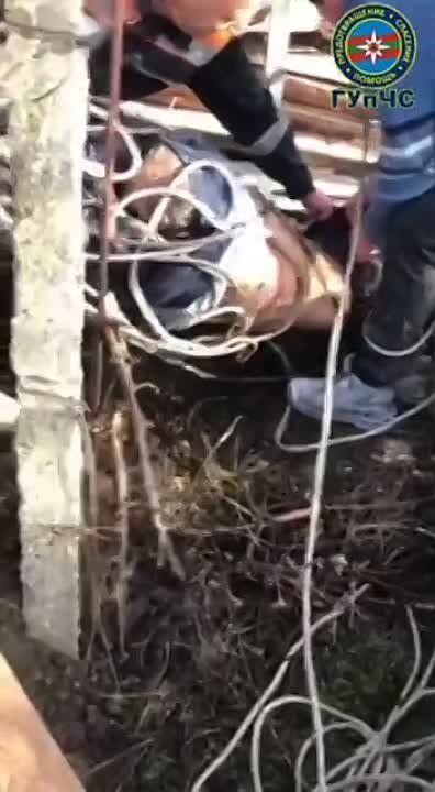 ������� ������� �� 30-�������� ��������