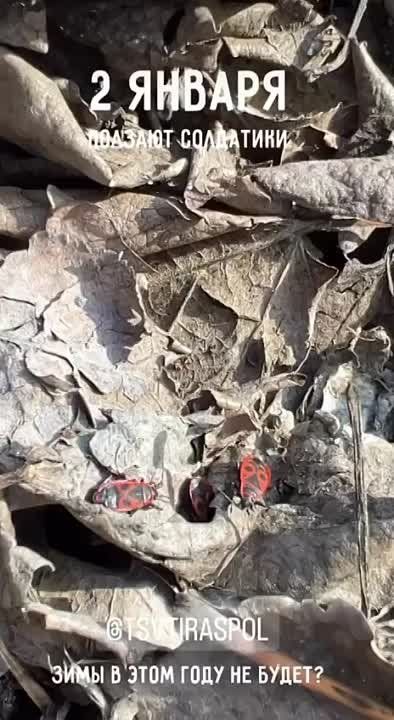 2 ������. � ������������� ������� ���������