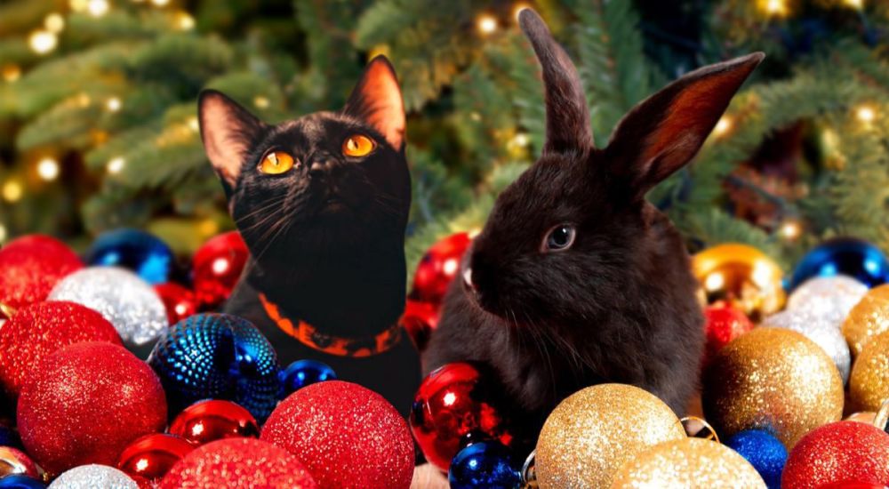 �������� 2023 ���. �� ���������� ��������� ��� ��� ������� �������� ������� ��� ����