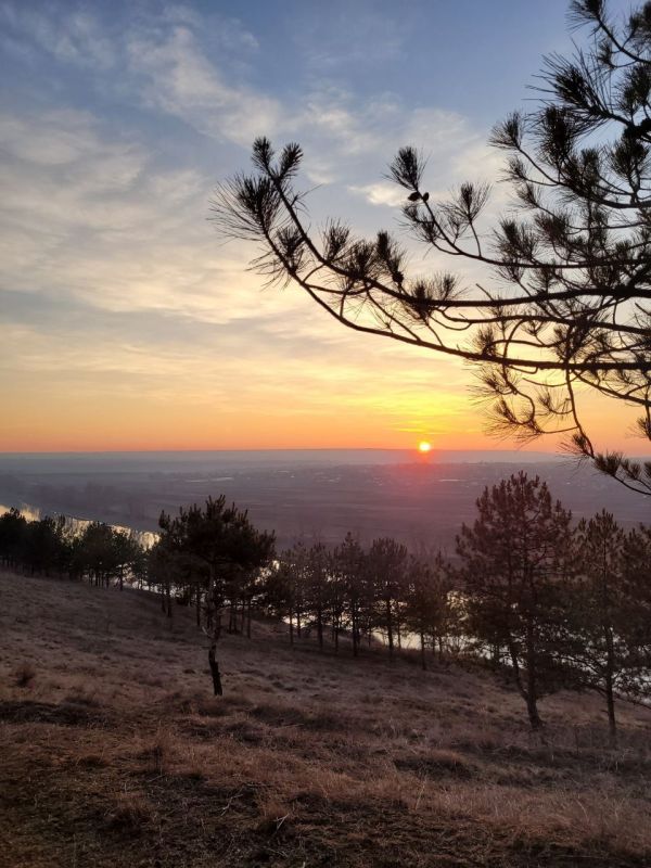 ������ ����� ������ ����