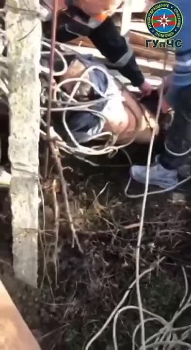 ��������� ������� �� 30-��������� ������� �������