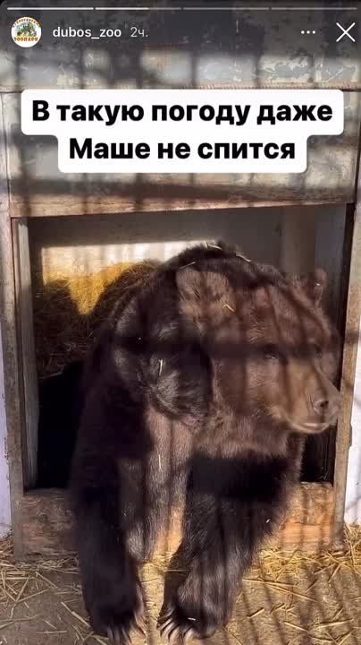 2 ������. � ������������� +13. ���� ��������� ���� � ������������ �������� �� ����. ����� ���������� �� ����� ������