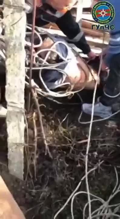 � ��������������� ���� �������� ��������� ������� �� ����������������� ������� �������, ������� ������ � ���� ��������� �������