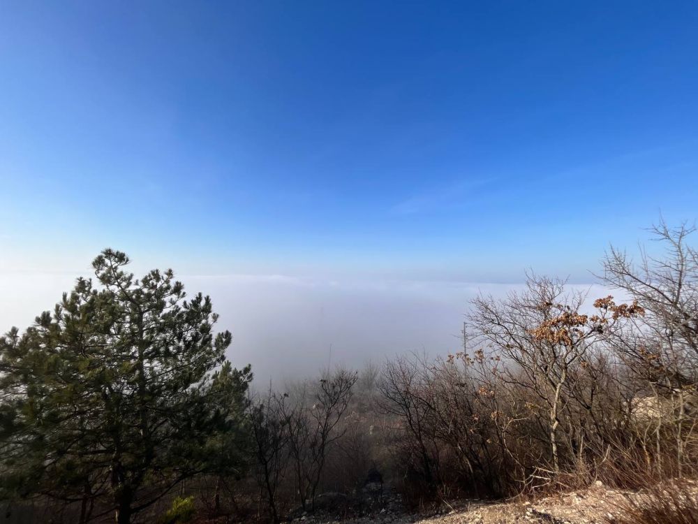 ��� �� ������� � ������� ������