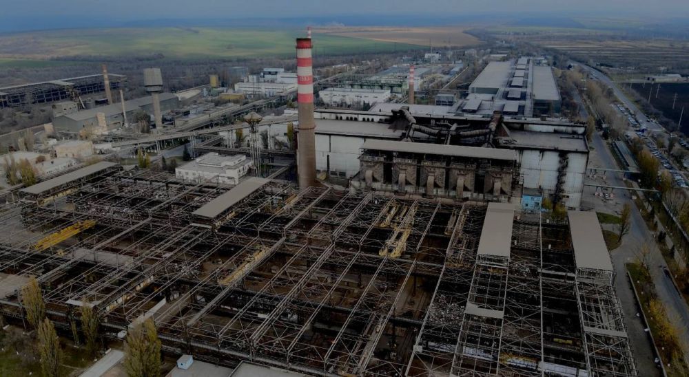 ��� �������� ���� ������������� ����������� �� 31 ������