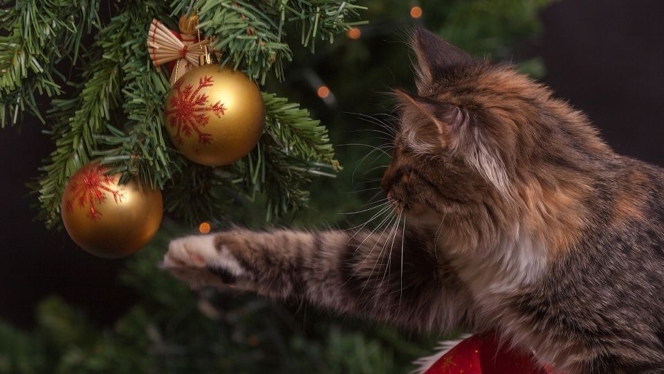 � 1 �� 8 ������ �� �� ���������� �������� �������, ��������������� � �������