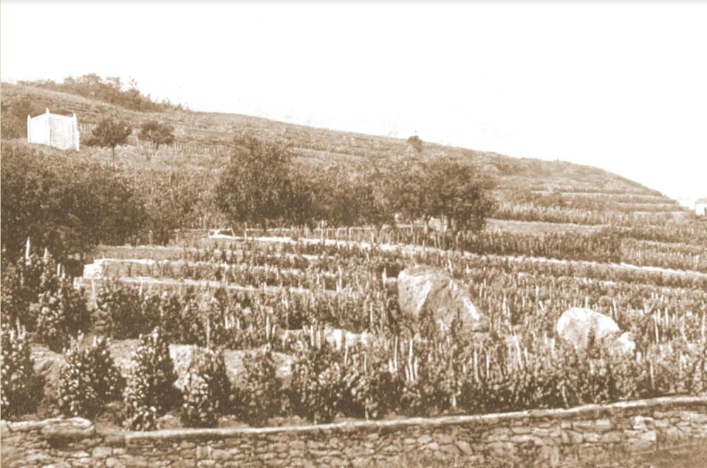 ��� ��������� ������� � ���������� ������ ������ ������������ � �������