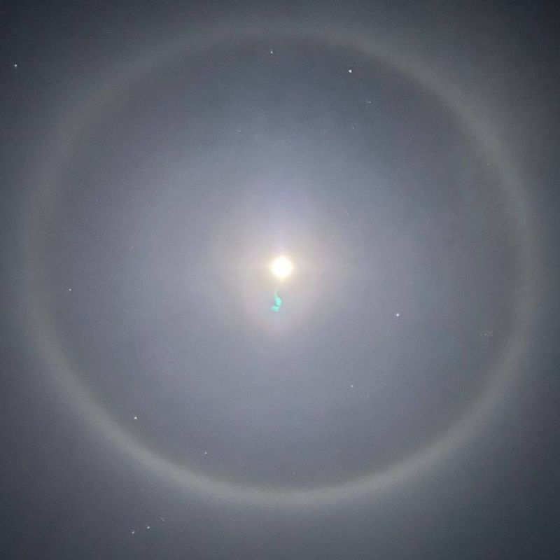 � ���� ��� �������� ������ ����� ���������� ���� ����