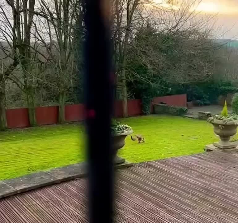 � �������������� �������� ����, � ������� �� ���� ���� ���