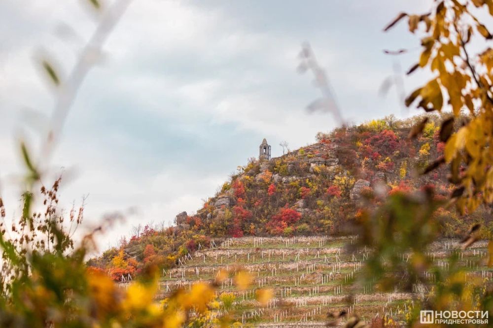 ������ ������� ������������ ����� ������� � ���� ��������