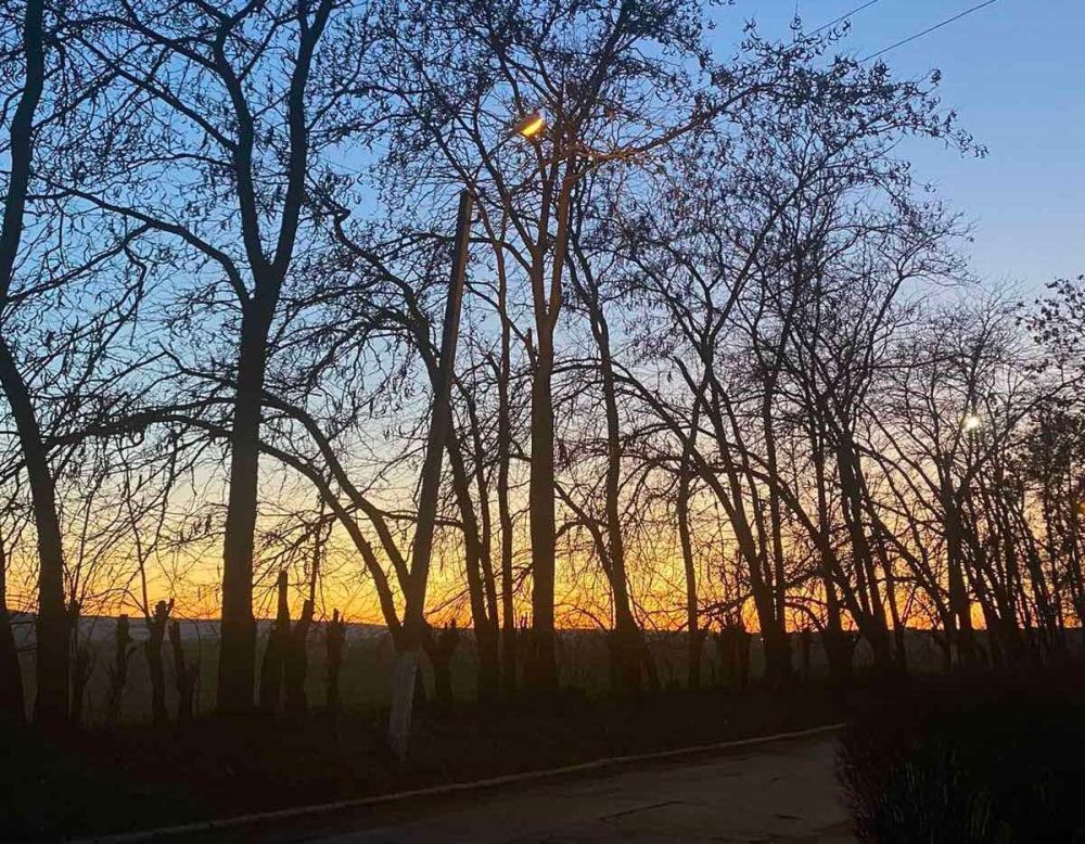 ������� - ��������. ��������� ��� ��� ����������� �������� ������� ����, ����������� � ��������� ����� - �� ������-������ �� ���������. ����� ��, ��������� �����