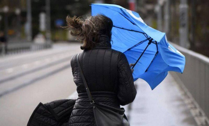 �������� ������� ��������� ��������������